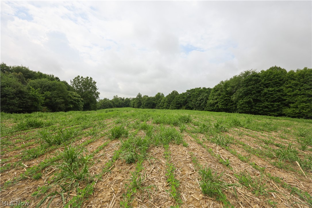 North Butler Liberty Road Butler, OH 44822 - Photo 31 of 44