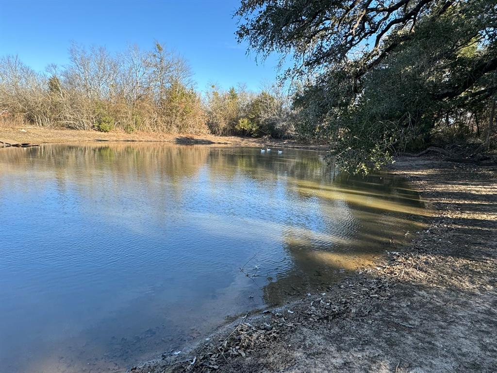 8405 Taylorsville Road Dale, TX 78616 - Photo 5 of 13 Natural pond with mature trees and visible sky reflections