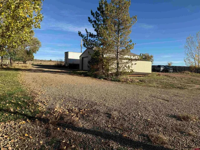 a view of a large yard with a large tree