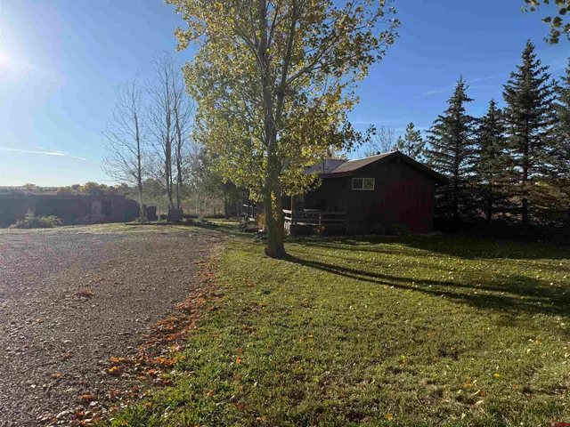 a view of a field of grass and trees