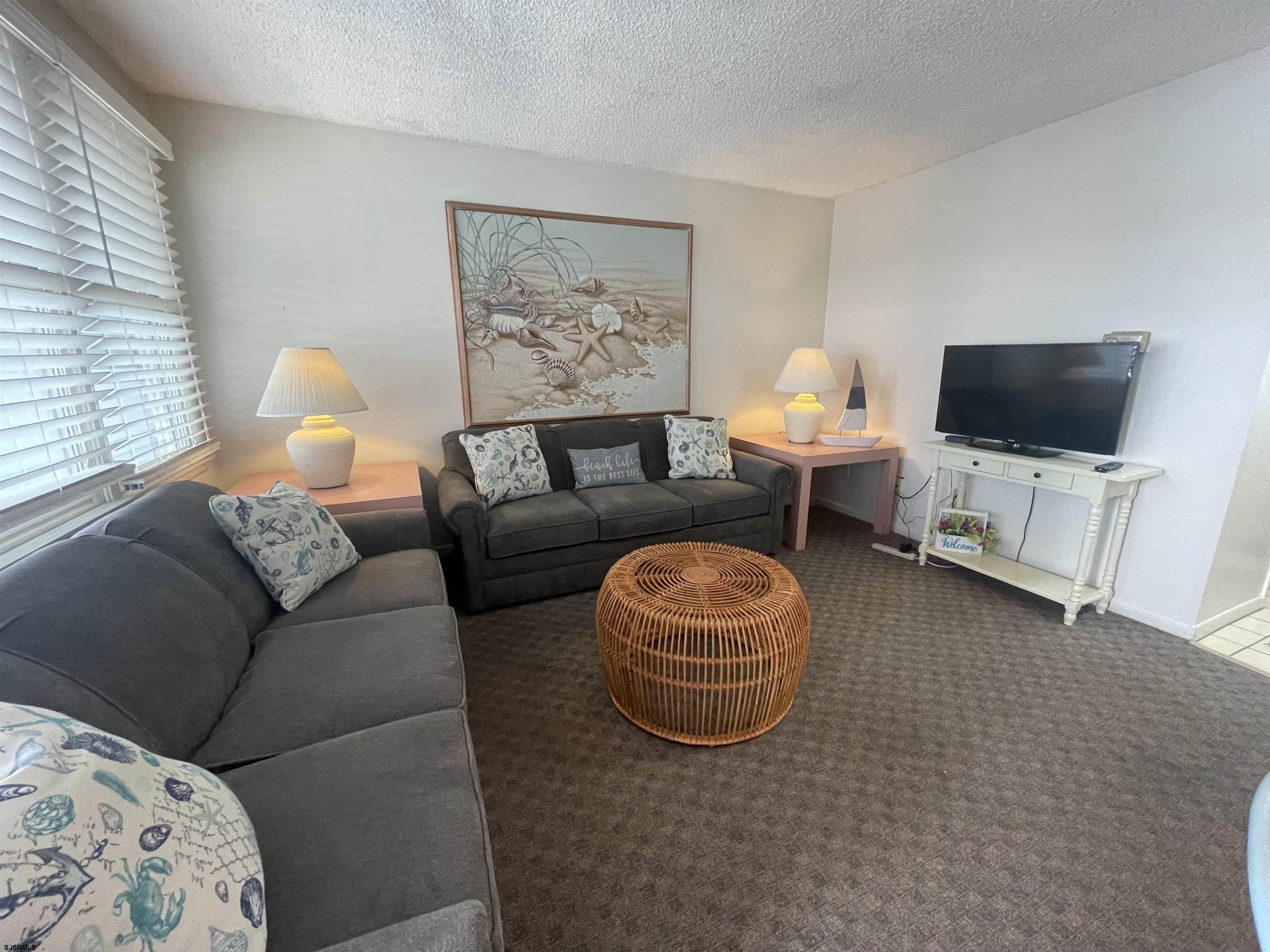 853-71 Plymouth Place, Unit 13 Ocean City, NJ 08226 - Photo 2 of 6 a living room with furniture a couch and a flat screen tv