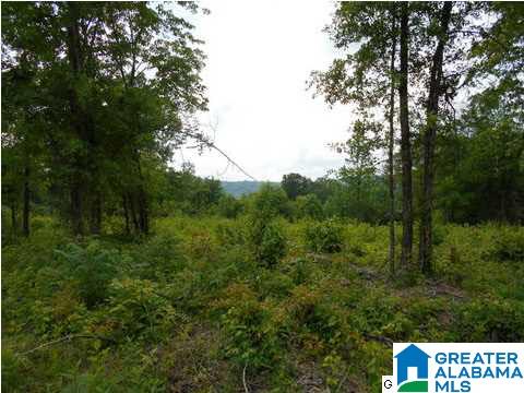 Virginia Street Oneonta, AL 35121 - Photo 2 of 3