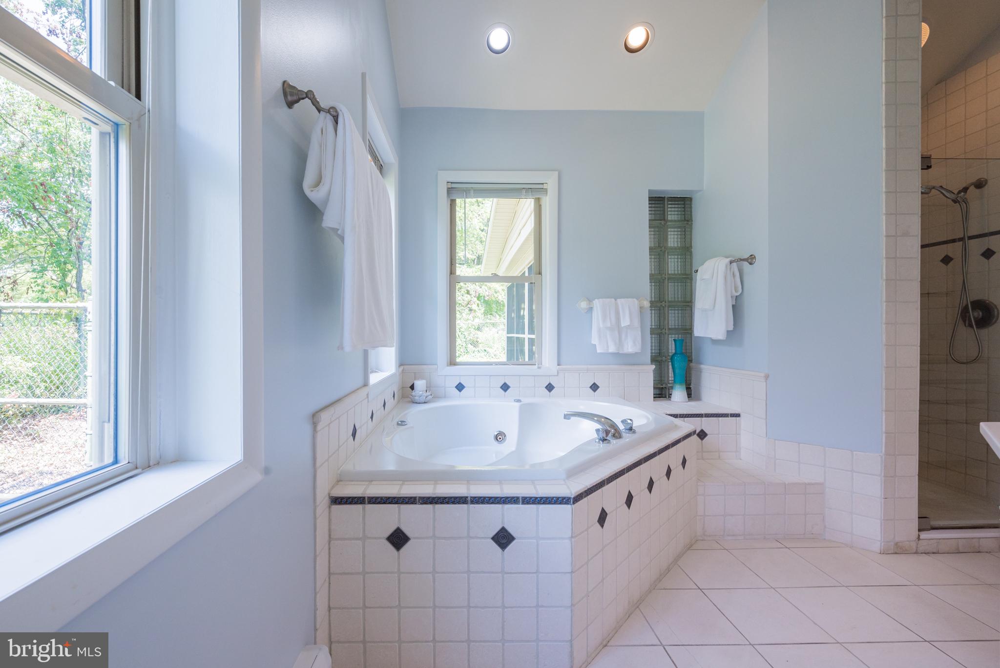 217 Cheltenham Road Newark, DE 19711 - Photo 33 of 53 Primary Bath Jetted Tub