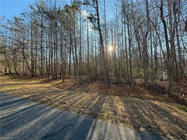 $75,000 | 0 Millbrook Drive, Haw River, NC 27258