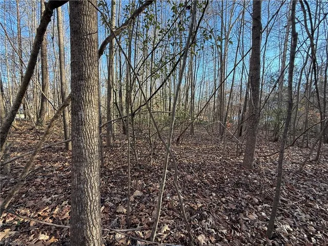 $75,000 | 0 Millbrook Drive, Haw River, NC 27258