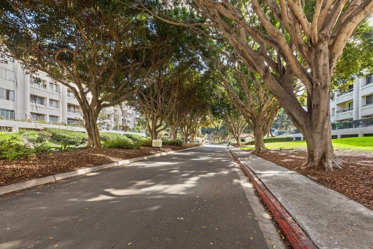 5645 Friars Road, Unit 397 San Diego, CA 92110 - Photo 20 of 22 a view of a house with large trees