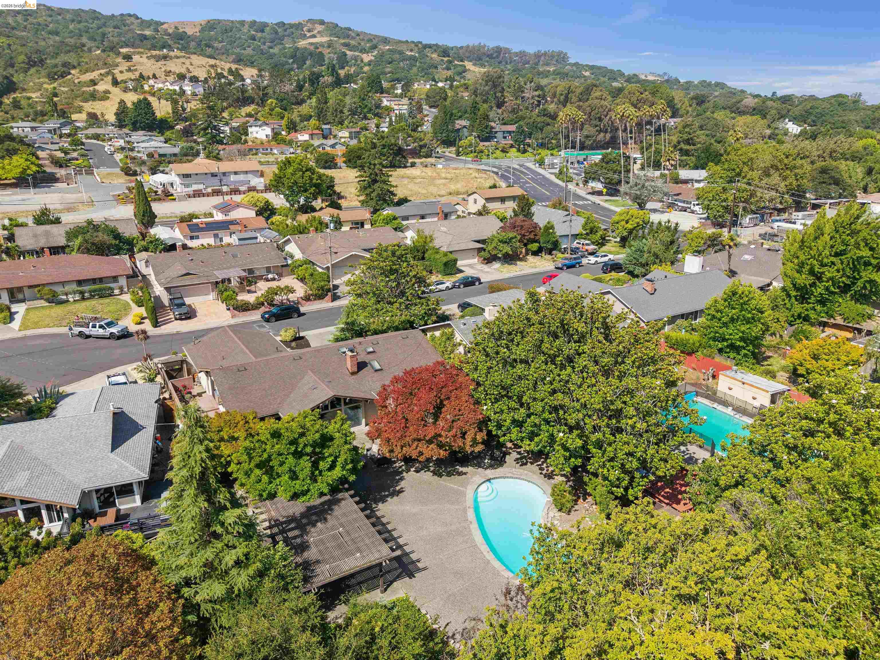 7 Jo Lin Court El Sobrante, CA 94803 - Photo 7 of 99 Freeform swimming pool with a surrounding paved patio, bordered by mature trees and lush landscaping