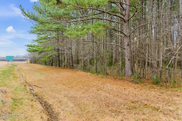 a view of a backyard of the house