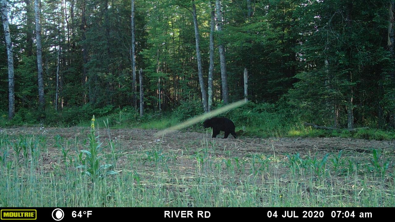 304-ac River Road Rhinelander, WI 54501 - Photo 44 of 47 Gallery Image 44