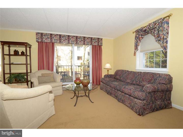 102 Llanfair Road, Unit 11 Ardmore, PA 19003 - Photo 6 of 6 Living Room