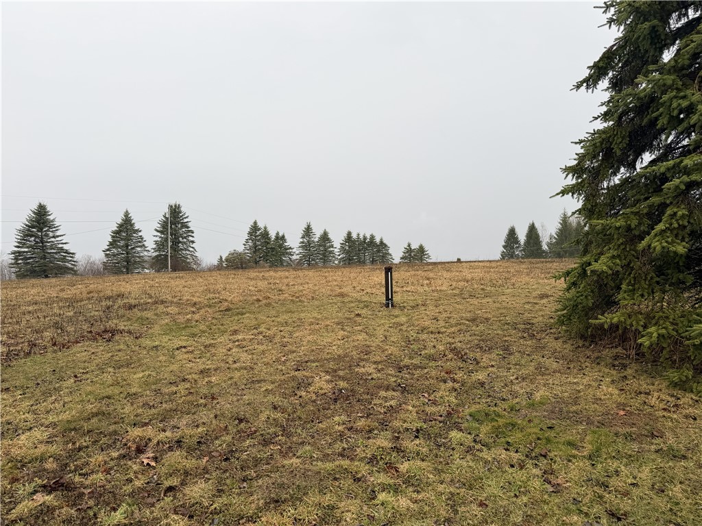 243 Mumbulo Road Pittsfield, NY 13335 - Photo 26 of 33