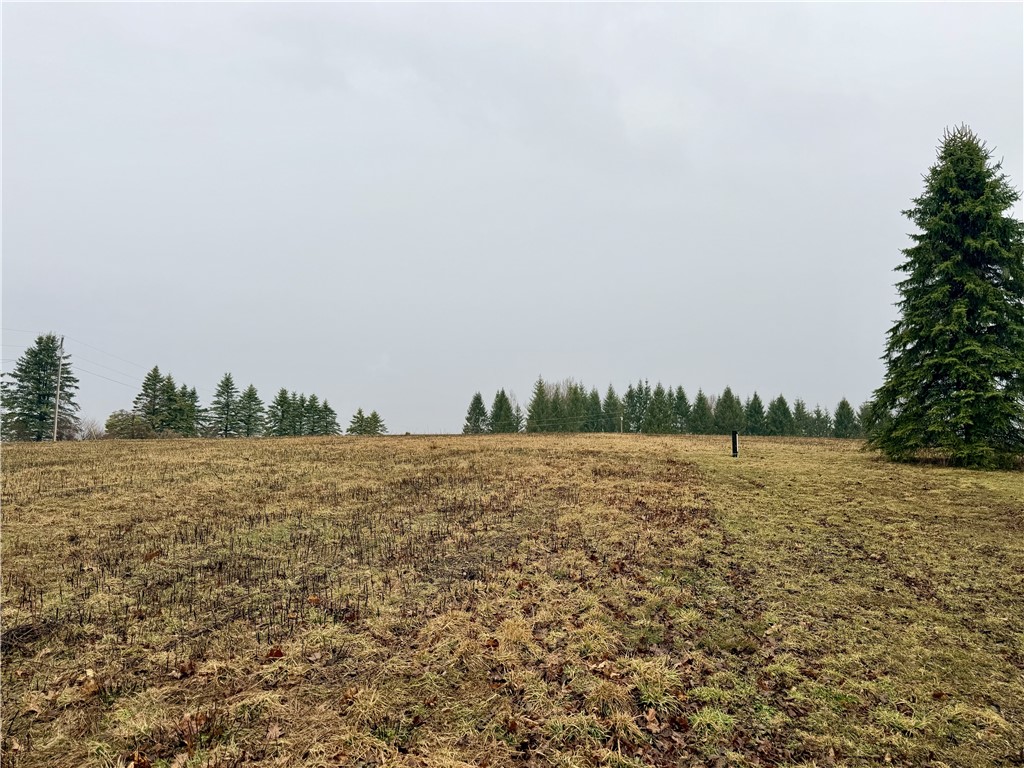 243 Mumbulo Road Pittsfield, NY 13335 - Photo 27 of 33