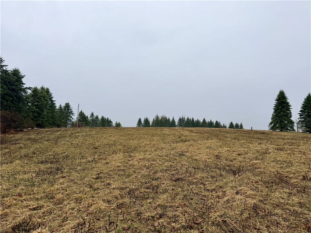 243 Mumbulo Road Pittsfield, NY 13335 - Photo 28 of 33