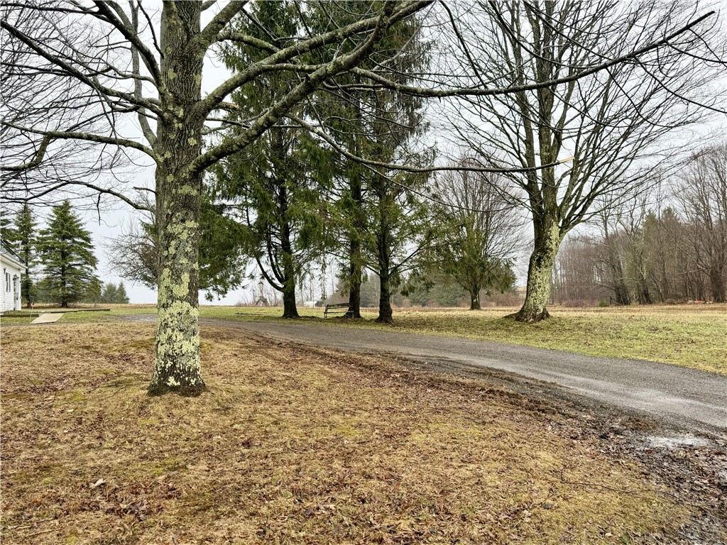 243 Mumbulo Road Pittsfield, NY 13335 - Photo 30 of 33