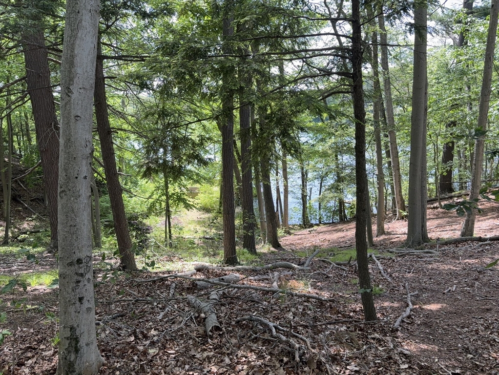 123 Dudley Road Wayland, MA 01778 - Photo 1 of 5 Gallery Image 1