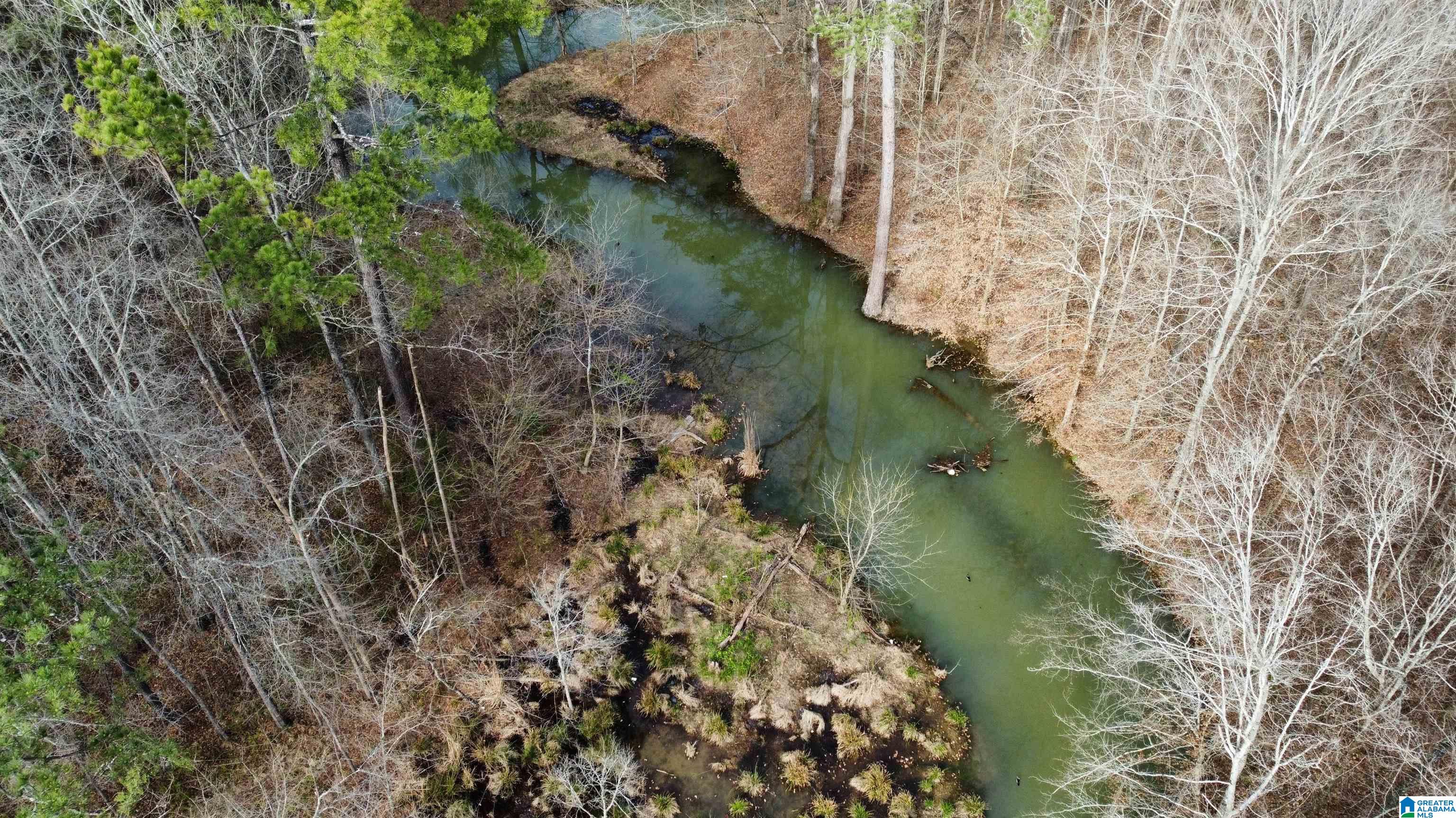 6388 Letson Lake Road, Unit 1 Bessemer, AL 35023 - Photo 7 of 20