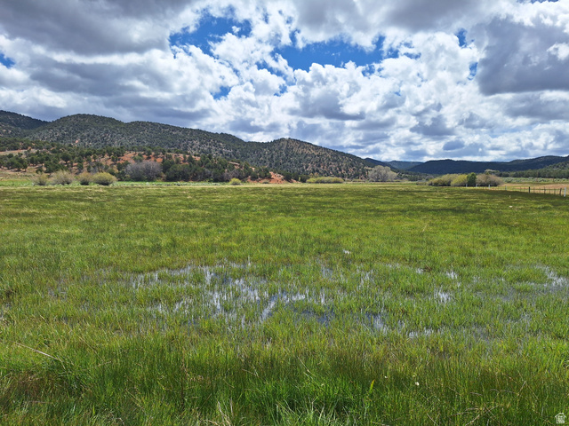 Expansive green pasture with natural water features, bordered by foothills and distant mountains
