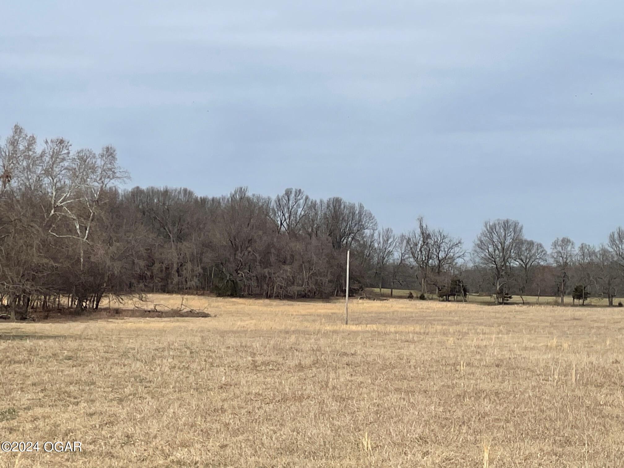0 McDonald Road Stella, MO 64867 - Photo 1 of 1 IMG_4294