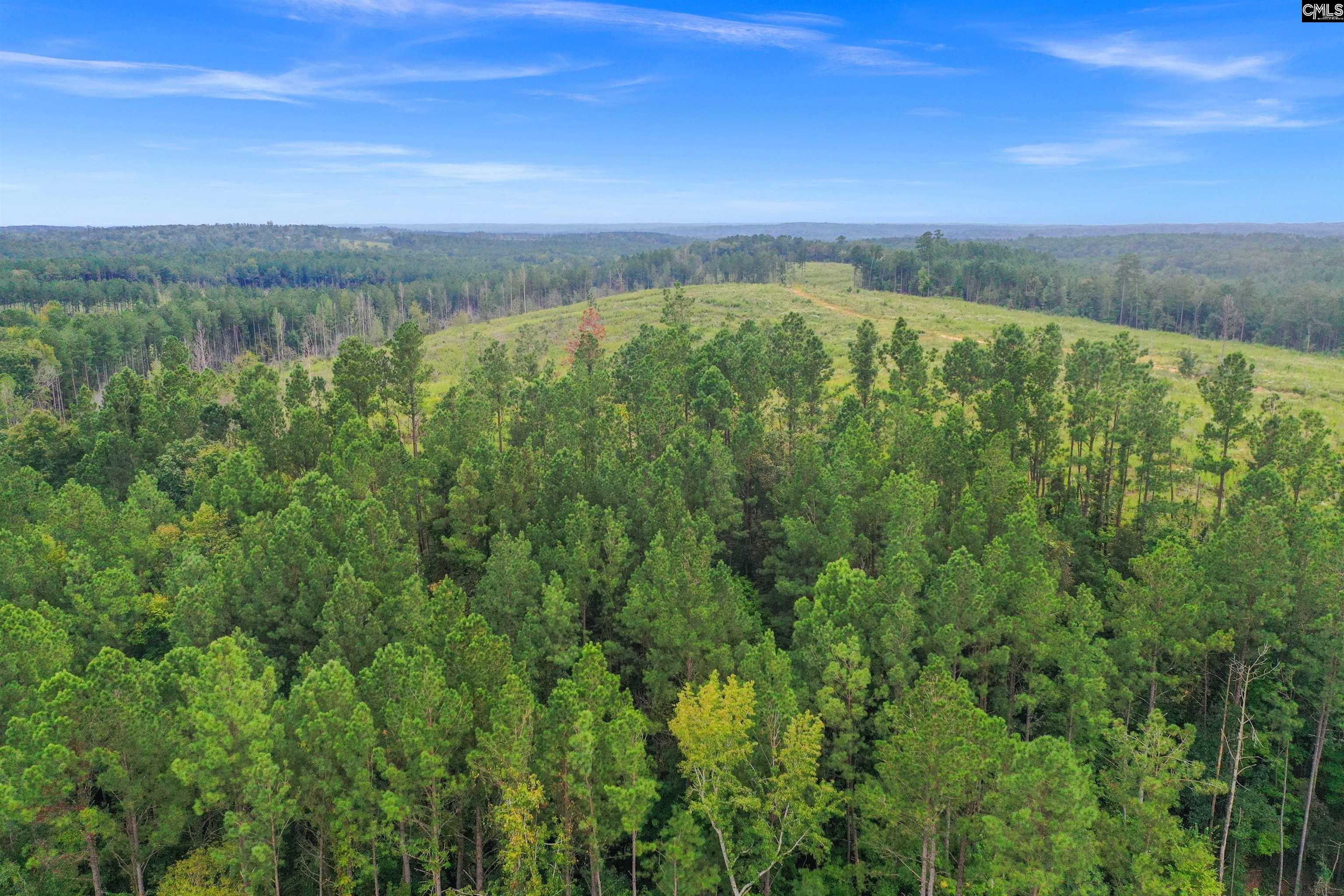 0 Penner Road, Unit 10 Jenkinsville, SC 29065 - Photo 42 of 43