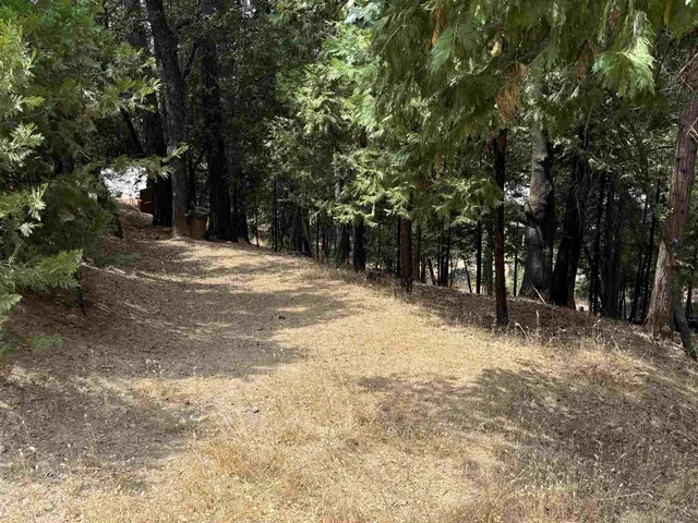 a view of road with trees