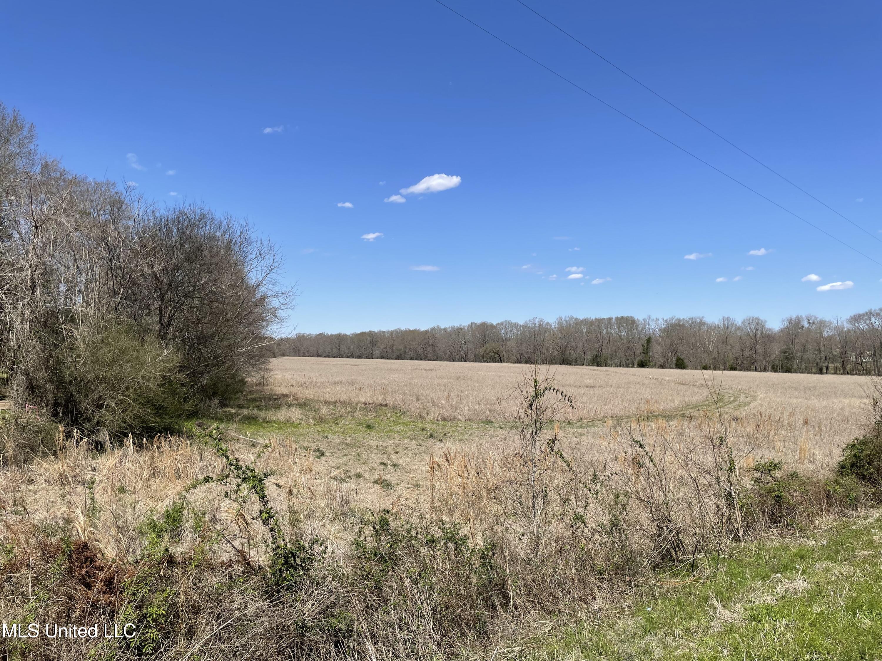 Channel Creek Road Jackson, MS 39209 - Photo 1 of 4 Pasture