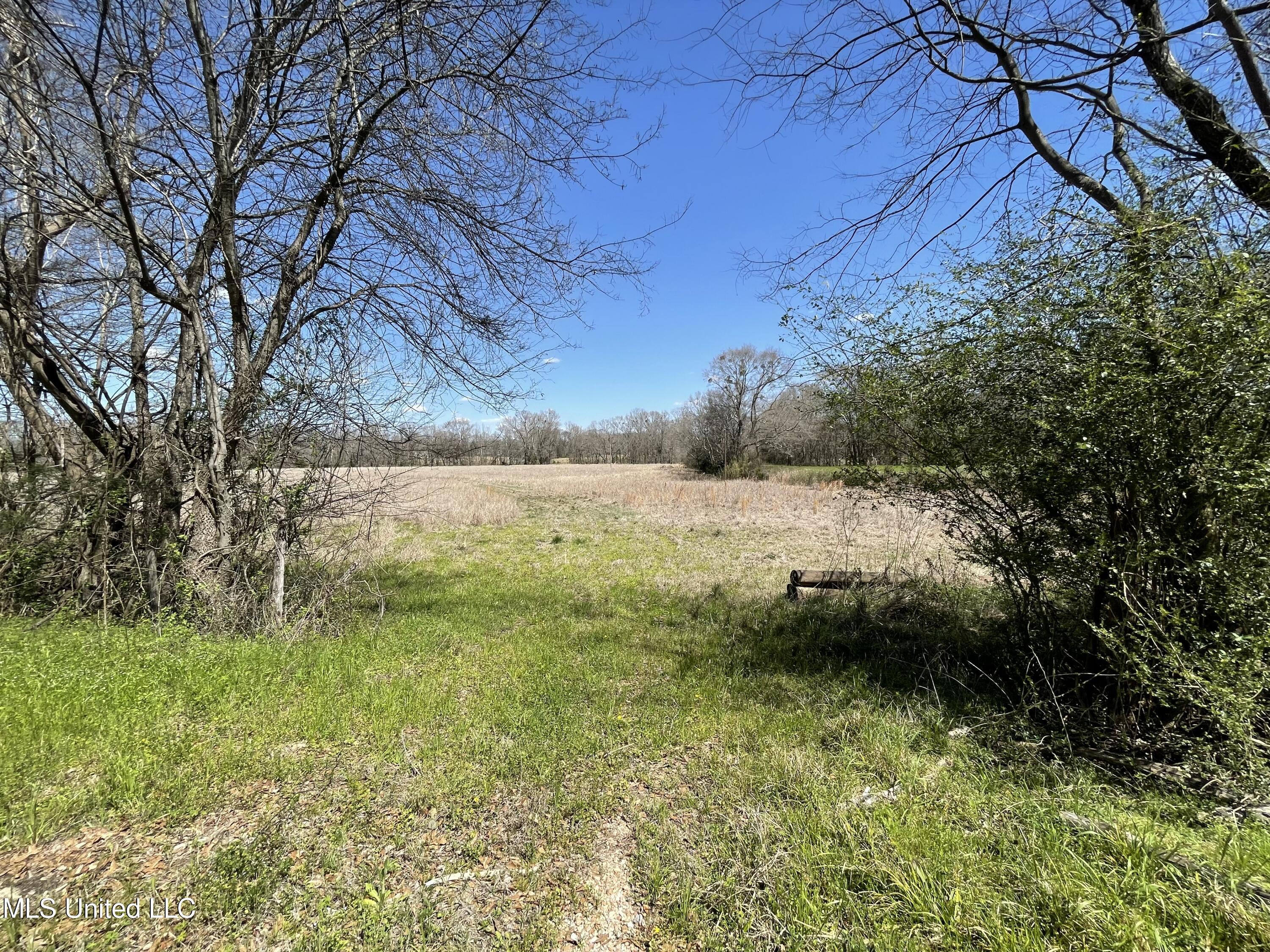 Channel Creek Road Jackson, MS 39209 - Photo 2 of 4 Channel Creek Rd 2