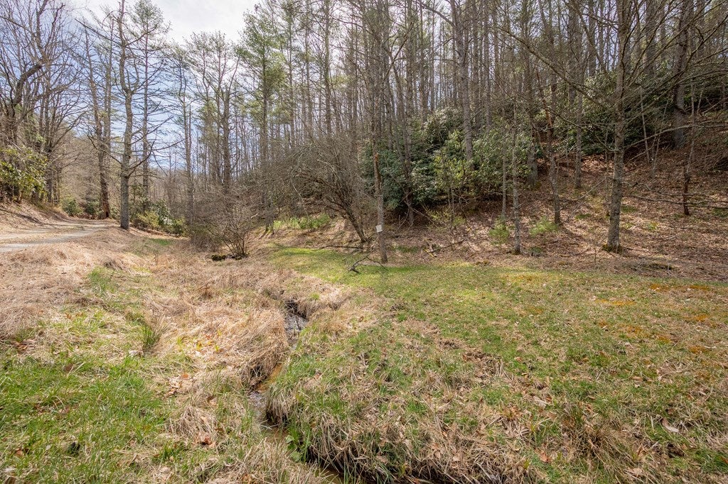 12-acres Powerhouse Road, Unit 14D Independence, VA 24348 - Photo 28 of 44 Gallery Image 28