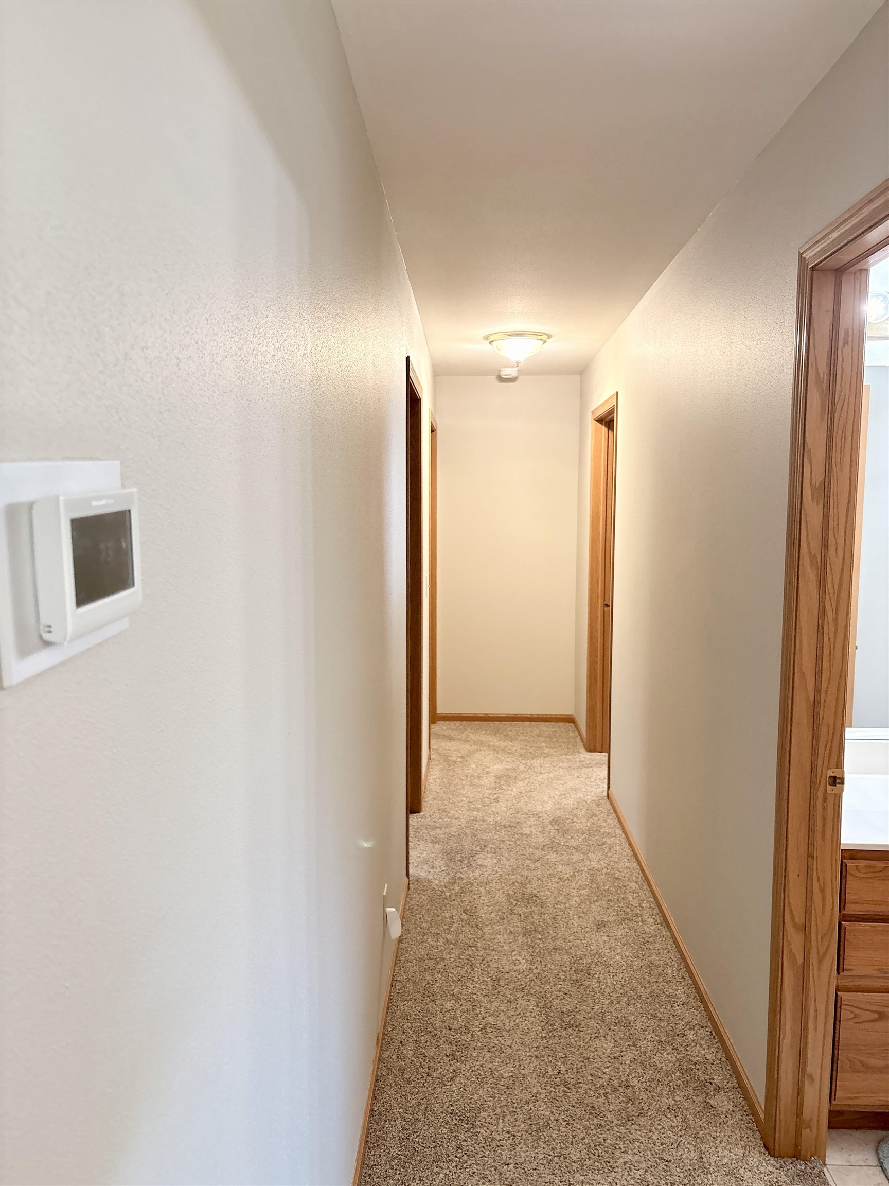1340 Prairie Rose Drive Sun Prairie, WI 53590 - Photo 11 of 39