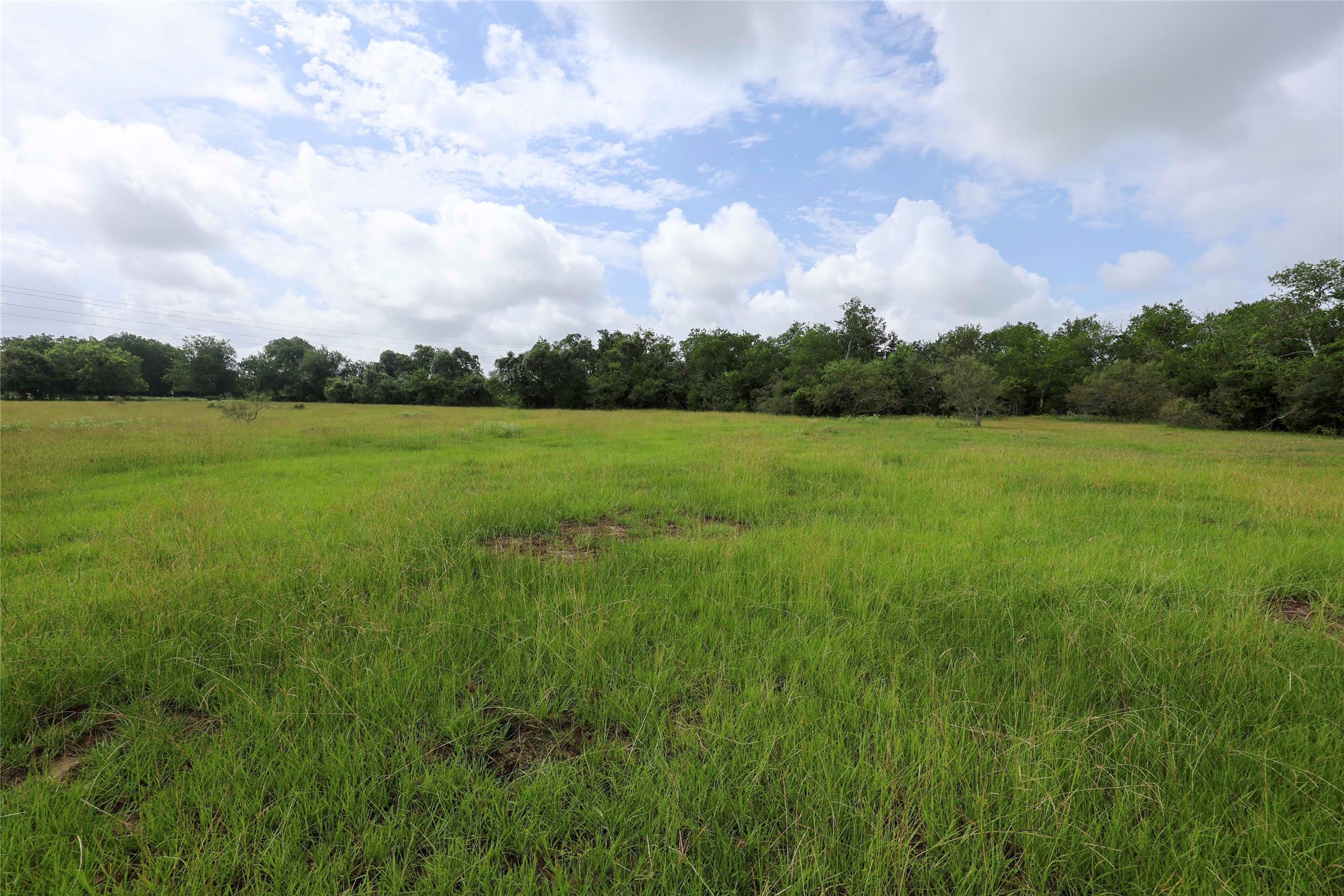 1340 Cr 253 Road Weimar, TX 78962 - Photo 3 of 18