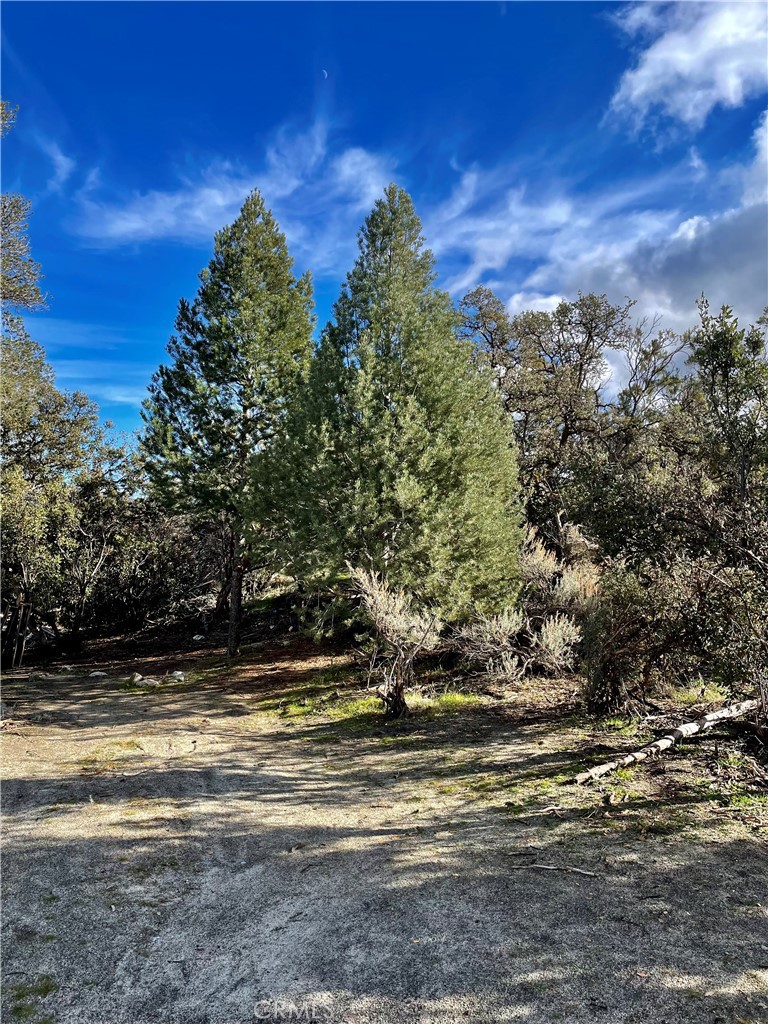 57850 Forestry Road Anza, CA 92539 - Photo 1 of 1 a view of a houses with a yard