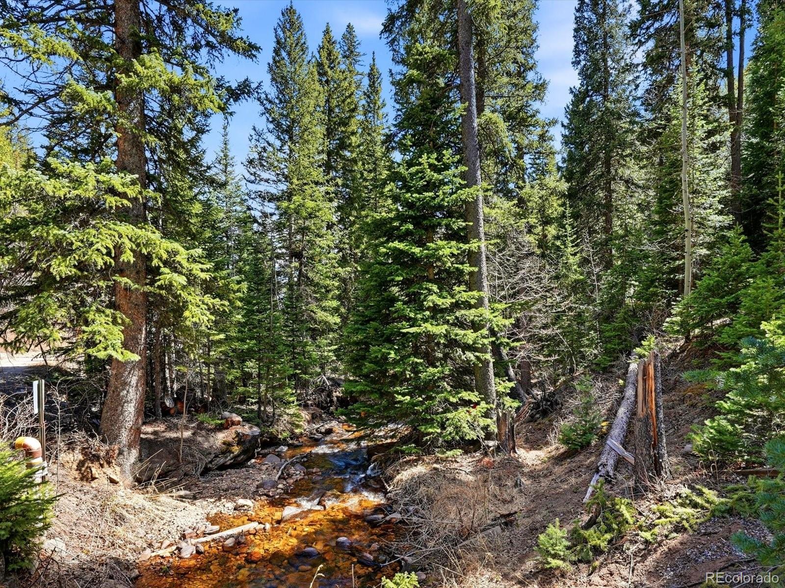 2547 Mill Creek Road Dumont, CO 80436 - Photo 43 of 49