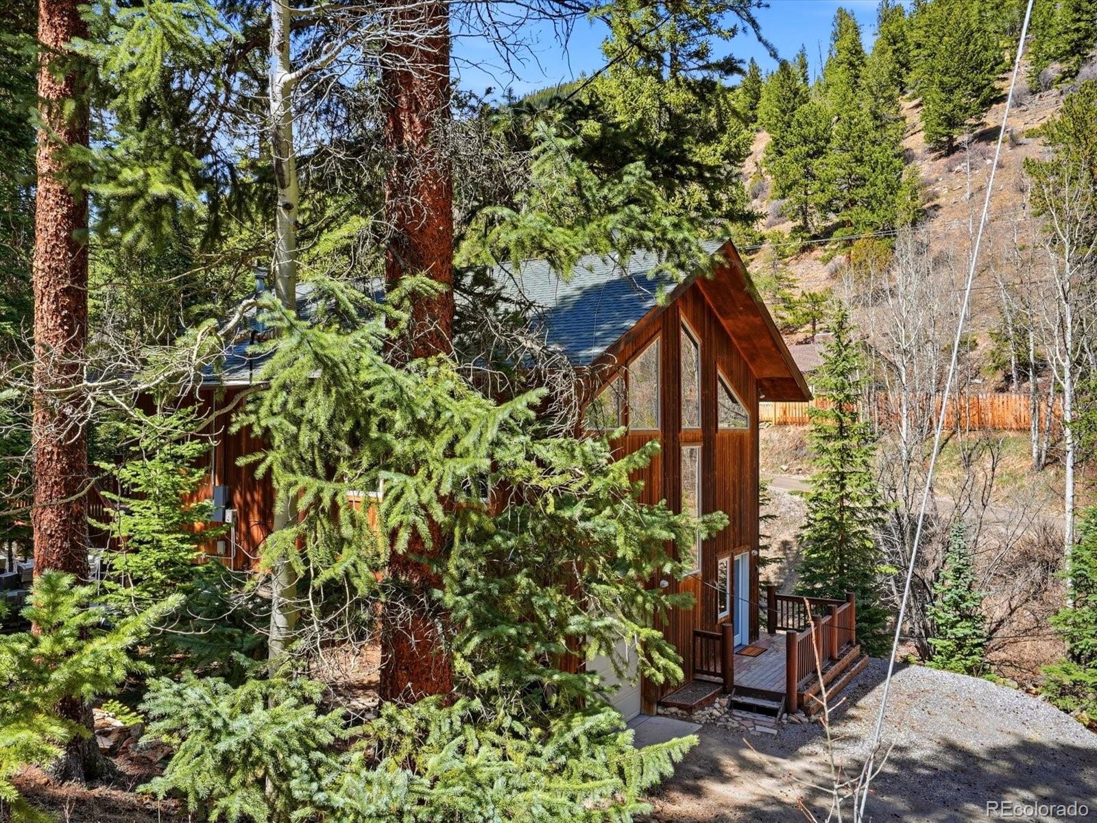 2547 Mill Creek Road Dumont, CO 80436 - Photo 7 of 49