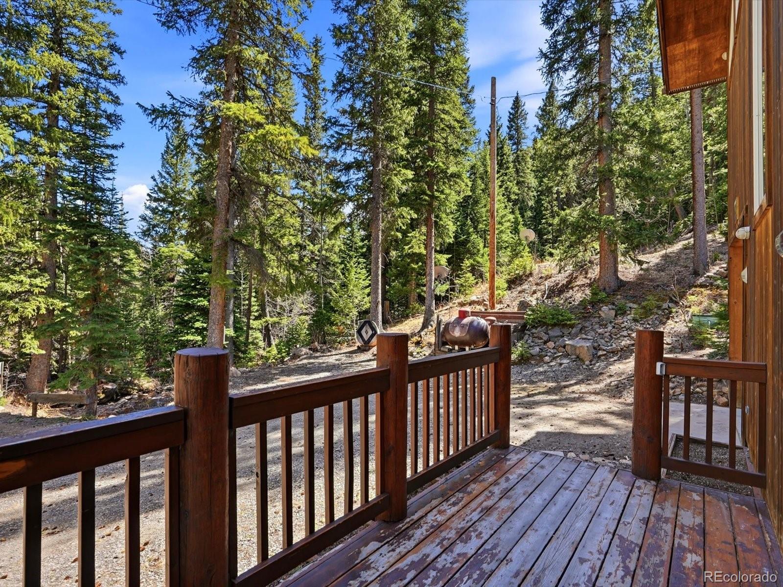 2547 Mill Creek Road Dumont, CO 80436 - Photo 10 of 49