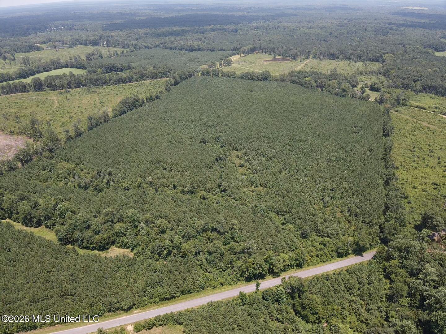 131 B County Road Morton, MS 39117 - Photo 15 of 25 2026-07-05-13-46-41-441