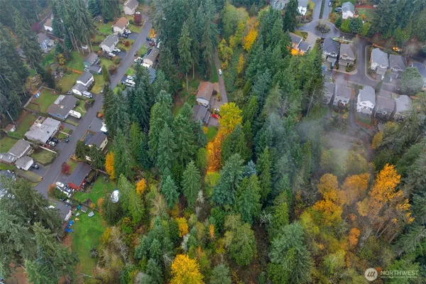 a view of outdoor space and trees