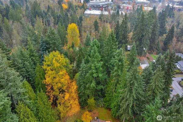 a close up of a house in a forest
