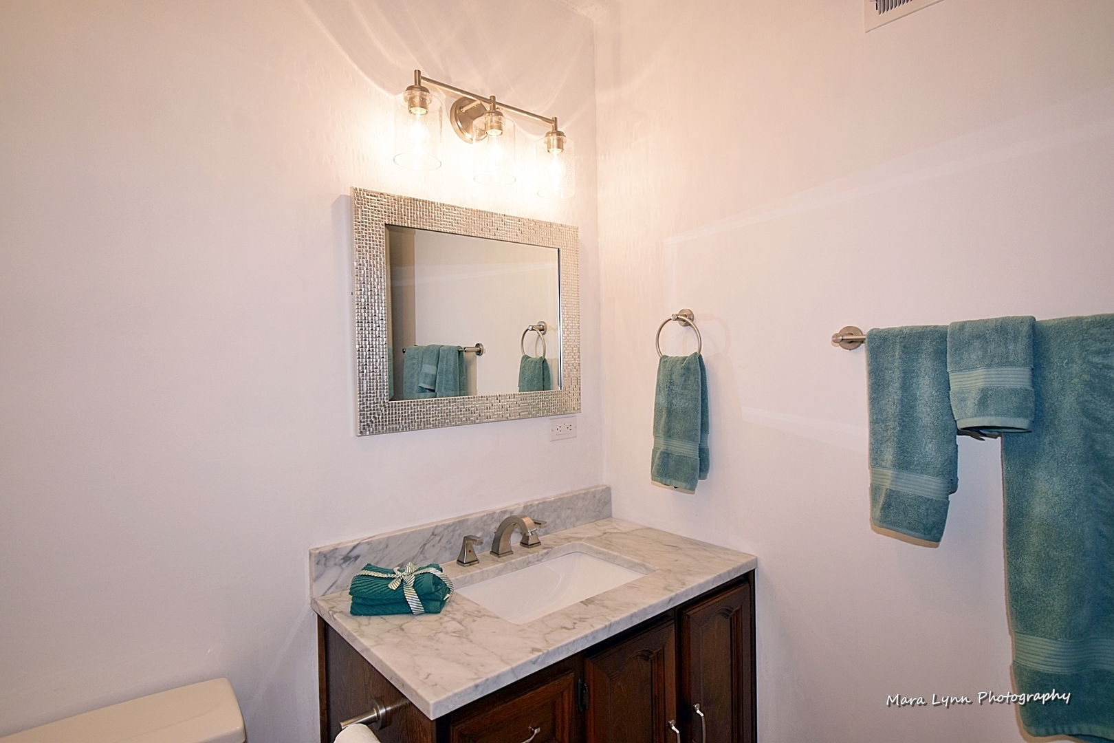 1571 South Tyler Road St. Charles, IL 60174 - Photo 14 of 32