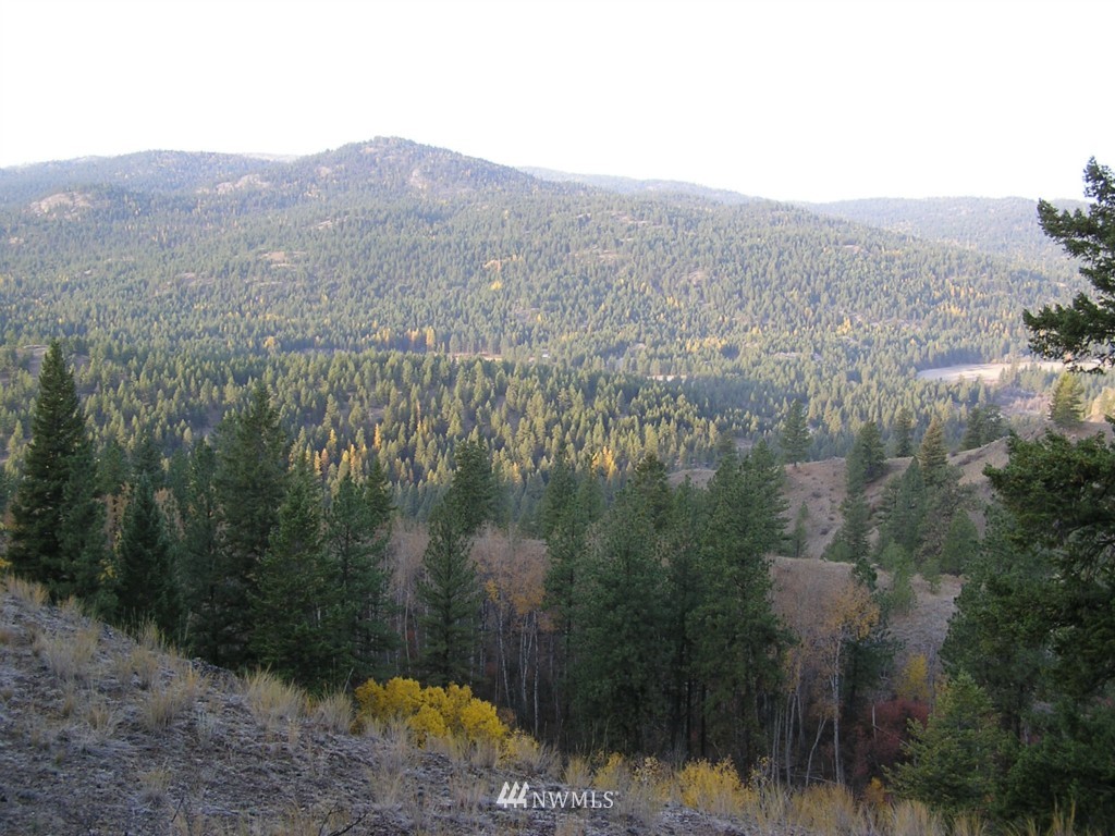 100 Roundabout Road Tonasket, WA 98855 - Photo 11 of 25 Gallery Image 11