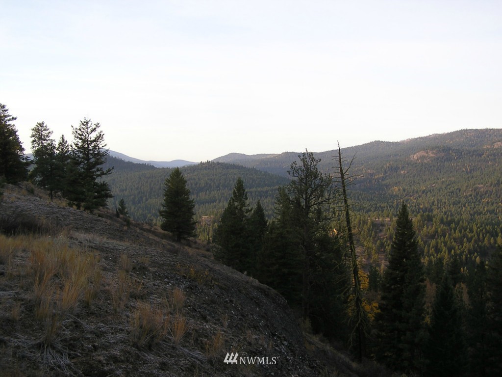 100 Roundabout Road Tonasket, WA 98855 - Photo 13 of 25 Gallery Image 13