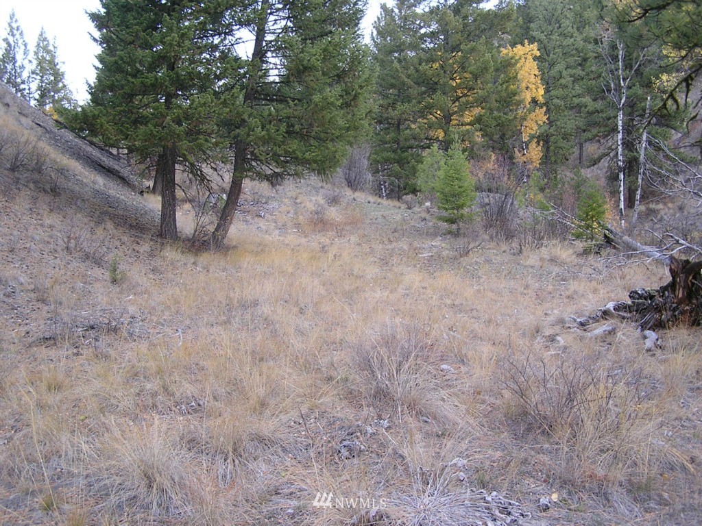 100 Roundabout Road Tonasket, WA 98855 - Photo 14 of 25 Gallery Image 14