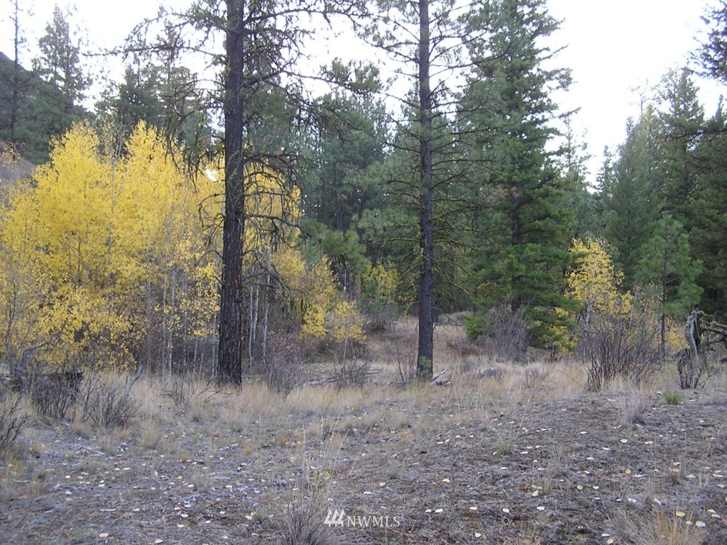 100 Roundabout Road Tonasket, WA 98855 - Photo 15 of 25 Gallery Image 15