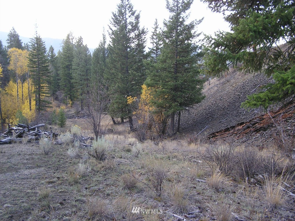 100 Roundabout Road Tonasket, WA 98855 - Photo 17 of 25 Gallery Image 17