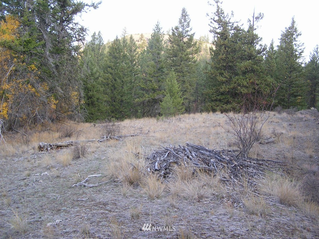 100 Roundabout Road Tonasket, WA 98855 - Photo 18 of 25 Gallery Image 18