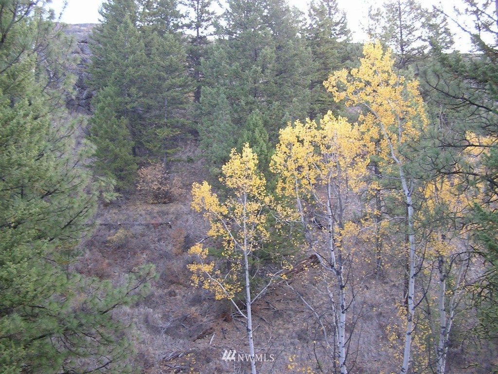 100 Roundabout Road Tonasket, WA 98855 - Photo 20 of 25 Gallery Image 20