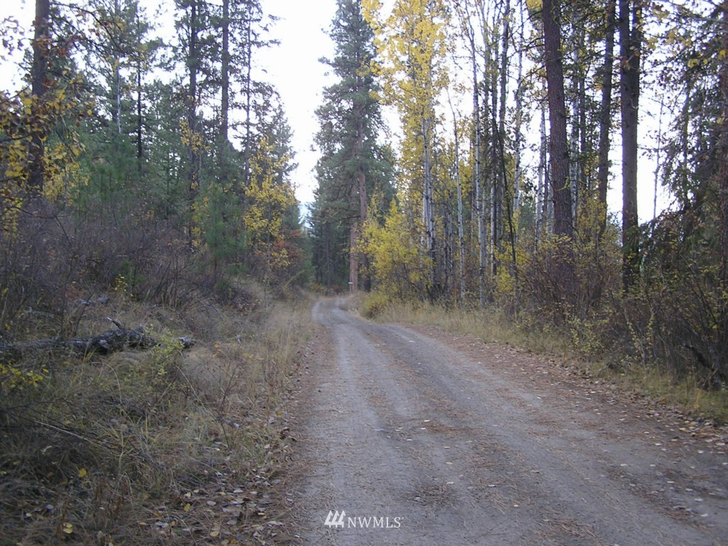 100 Roundabout Road Tonasket, WA 98855 - Photo 3 of 25 Gallery Image 3