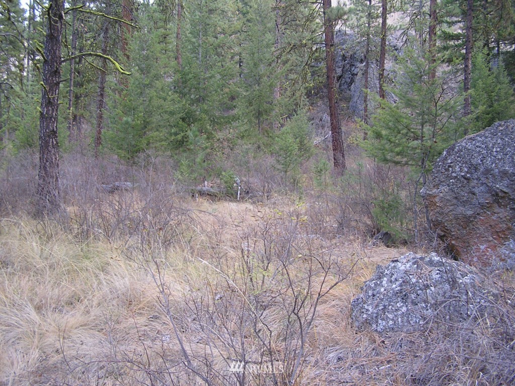 100 Roundabout Road Tonasket, WA 98855 - Photo 22 of 25 Gallery Image 22