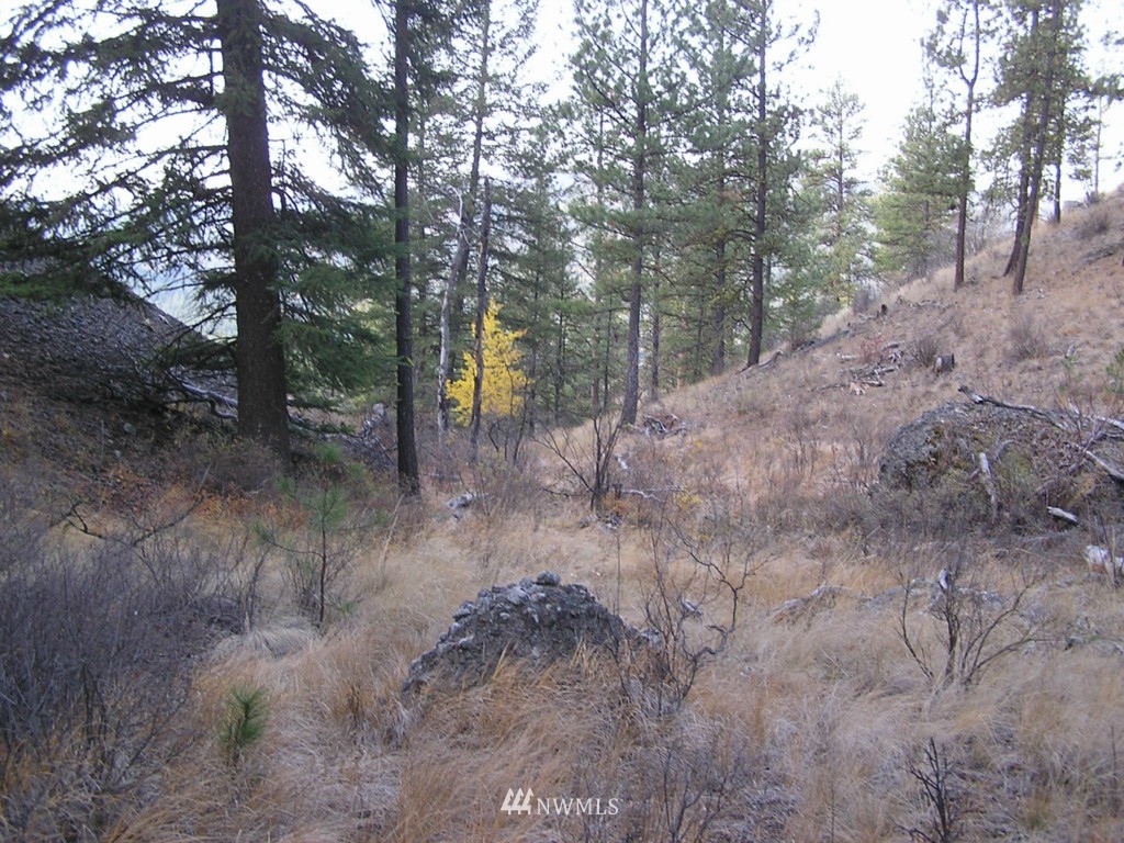100 Roundabout Road Tonasket, WA 98855 - Photo 23 of 25 Gallery Image 23