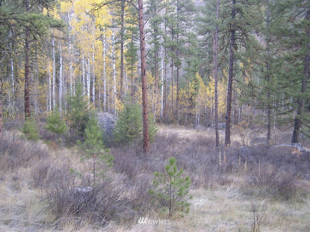 100 Roundabout Road Tonasket, WA 98855 - Photo 24 of 25 Gallery Image 24