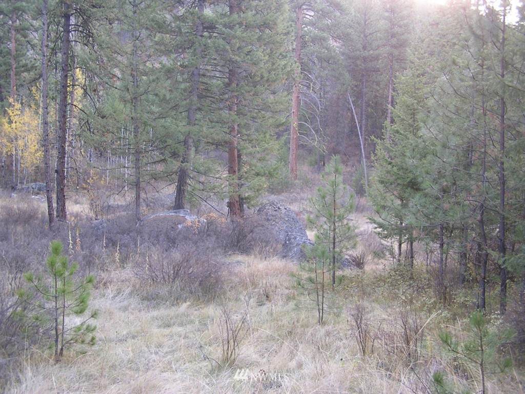 100 Roundabout Road Tonasket, WA 98855 - Photo 25 of 25 Gallery Image 25
