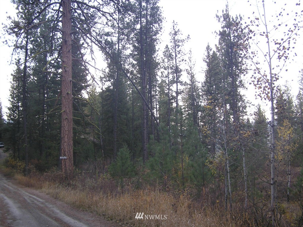 100 Roundabout Road Tonasket, WA 98855 - Photo 4 of 25 Gallery Image 4